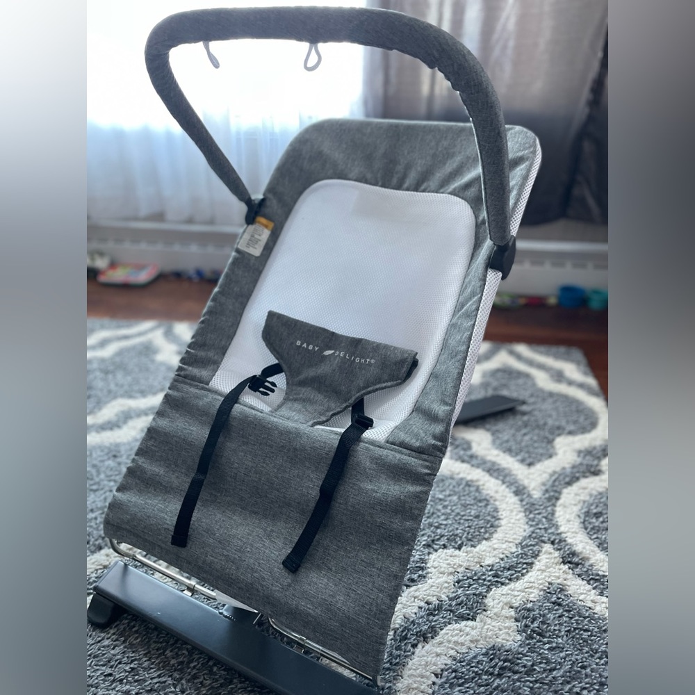 Baby Delight Alpine Deluxe Portable Bouncer